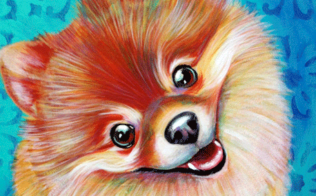 Pompom_THM</code>