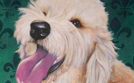 Image 003